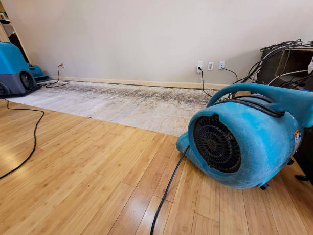 Professional Basement Flood Cleanup technician working in Provo, UT